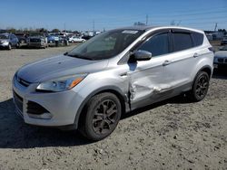 2013 Ford Escape SEL for sale in Eugene, OR