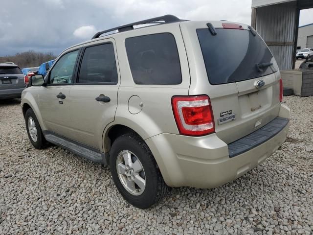 2010 Ford Escape XLT