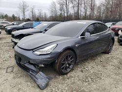 2019 Tesla Model 3 for sale in Waldorf, MD