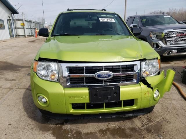 2012 Ford Escape XLT