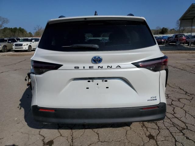 2023 Toyota Sienna XLE