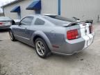 2006 Ford Mustang GT