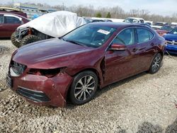 2015 Acura TLX Tech for sale in Louisville, KY