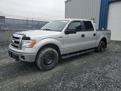 2014 Ford F150 Supercrew for sale in Elmsdale, NS