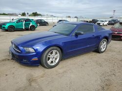 Vehiculos salvage en venta de Copart Bakersfield, CA: 2014 Ford Mustang