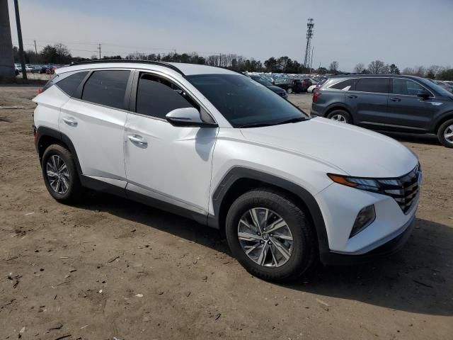 2022 Hyundai Tucson Blue