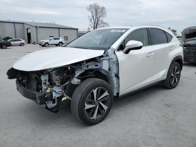 2021 Lexus NX 300H Base