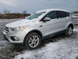 Salvage cars for sale from Copart Columbia Station, OH: 2017 Ford Escape SE