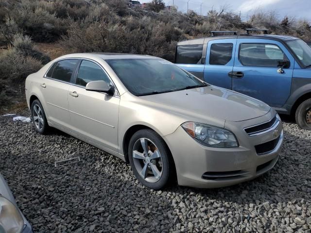 2011 Chevrolet Malibu 1LT