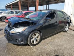 Ford salvage cars for sale: 2013 Ford Focus SE