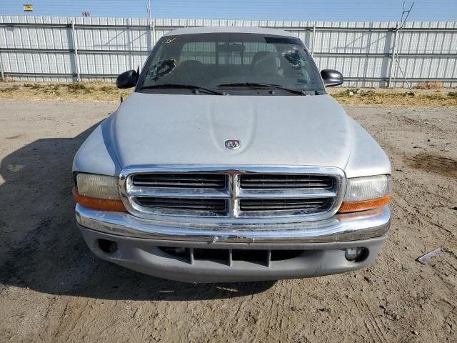 2000 Dodge Dakota