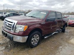 2010 Ford F150 Supercrew for sale in Louisville, KY