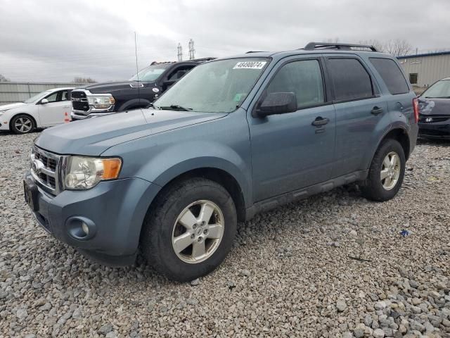 2010 Ford Escape XLT