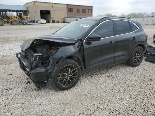 2021 Ford Escape Titanium