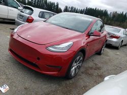 Tesla Model y salvage cars for sale: 2021 Tesla Model Y