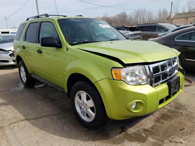 2012 Ford Escape XLT