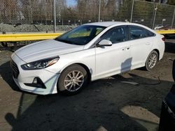 Hyundai Sonata se salvage cars for sale: 2019 Hyundai Sonata SE