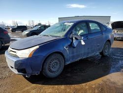 2008 Ford Focus SE for sale in Rocky View County, AB