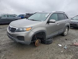 KIA Sorento salvage cars for sale: 2013 KIA Sorento LX