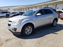 2011 Chevrolet Equinox LT en venta en Louisville, KY