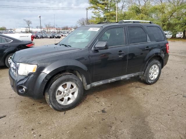 2011 Ford Escape Limited