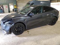 2020 Tesla Model Y for sale in Eldridge, IA