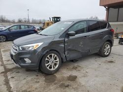 Salvage cars for sale from Copart Fort Wayne, IN: 2019 Ford Escape SE