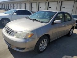 2003 Toyota Corolla CE for sale in Louisville, KY