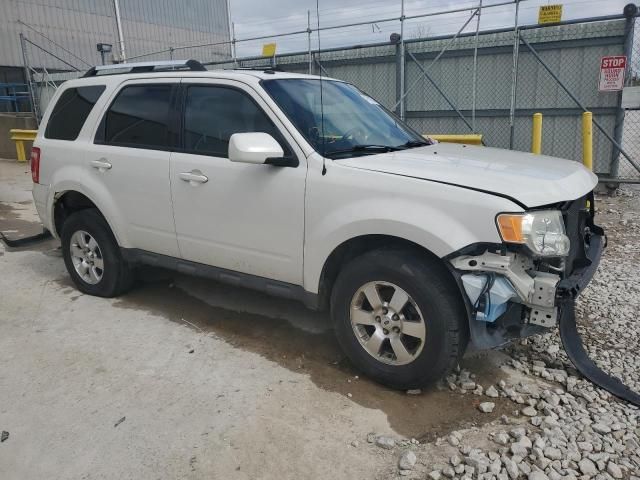 2009 Ford Escape Limited