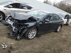 Toyota Camry le salvage cars for sale: 2023 Toyota Camry LE