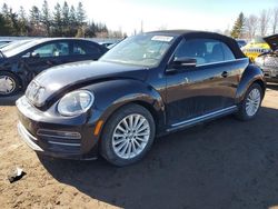 2019 Volkswagen Beetle S en venta en Bowmanville, ON