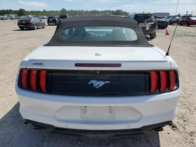 2019 Ford Mustang