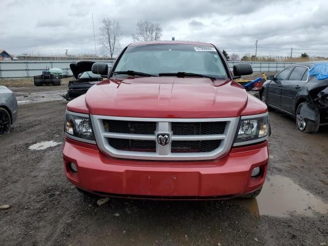 2010 Dodge Dakota SXT