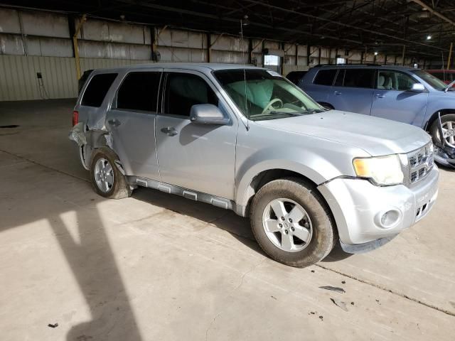 2010 Ford Escape XLS