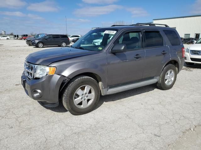 2011 Ford Escape XLT