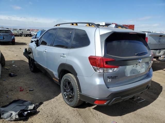 2023 Subaru Forester Wilderness