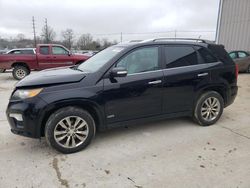 KIA Sorento sx salvage cars for sale: 2011 KIA Sorento SX