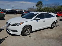 Salvage cars for sale from Copart Lexington, KY: 2015 Hyundai Sonata SE