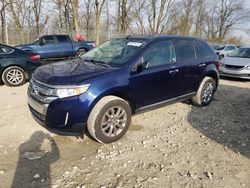 2011 Ford Edge SEL for sale in Cicero, IN