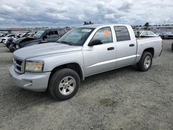 Dodge salvage cars for sale: 2008 Dodge Dakota Quad SLT