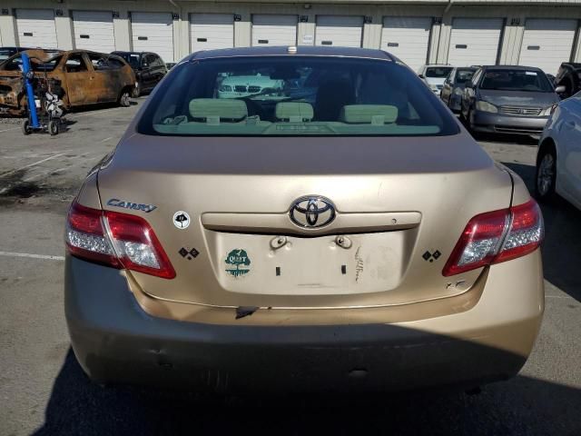 2010 Toyota Camry Base