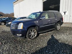 Cadillac Escalade salvage cars for sale: 2007 Cadillac Escalade Luxury