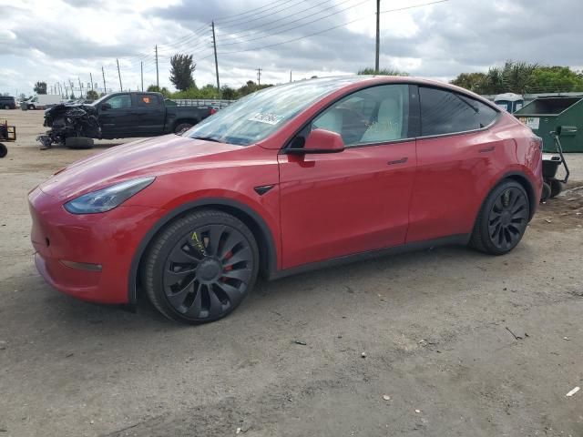 2022 Tesla Model y