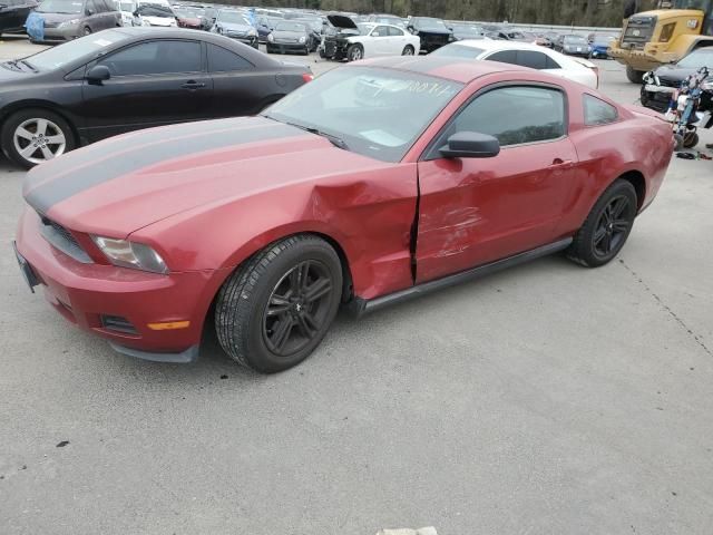 2010 Ford Mustang