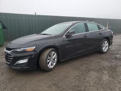 Chevrolet salvage cars for sale: 2019 Chevrolet Malibu LT