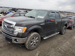 2013 Ford F150 Super Cab en venta en Earlington, KY