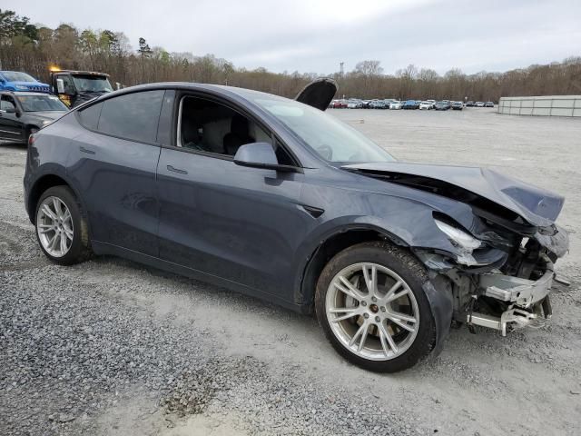 2020 Tesla Model Y