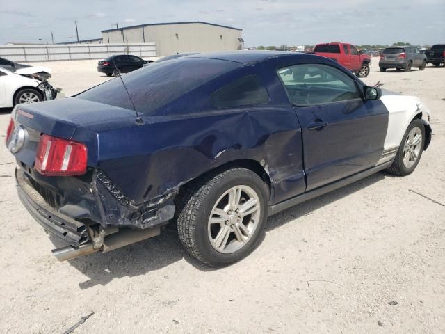 2010 Ford Mustang