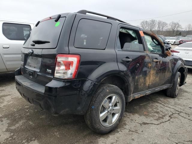 2012 Ford Escape XLT