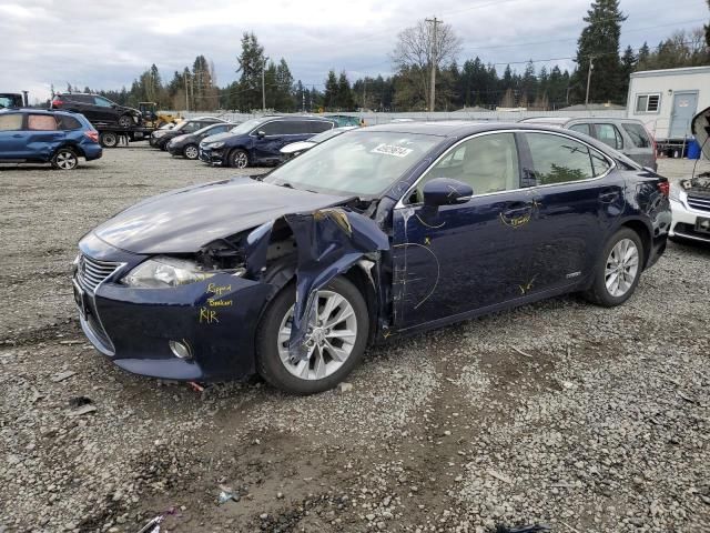 2013 Lexus ES 300H